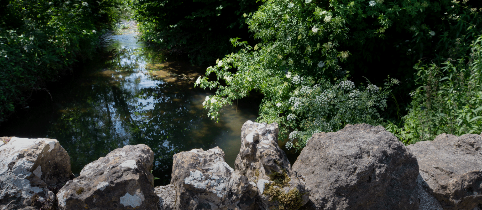 River Axe